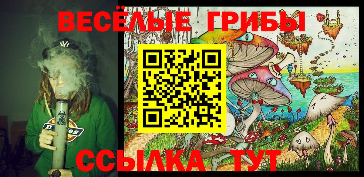 Галлюциногенные грибы GOLDEN TEACHER Апатиты