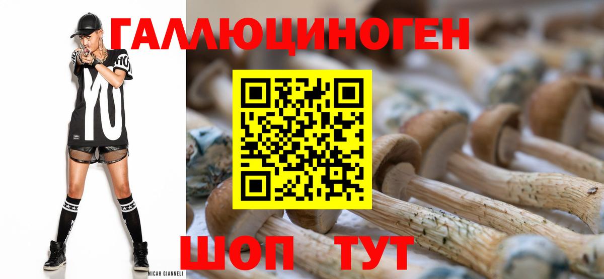 Псилоцибиновые грибы мицелий  Вход с VPN  Апатиты  Псилоцибиновые грибы MAGIC MUSHROOMS 